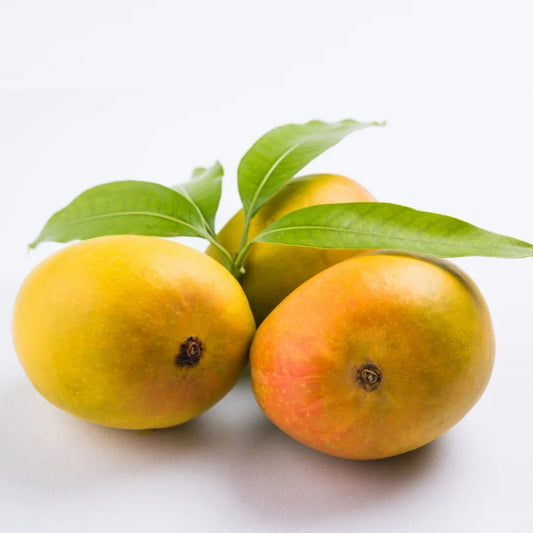 Jumbo Alphonso Mango