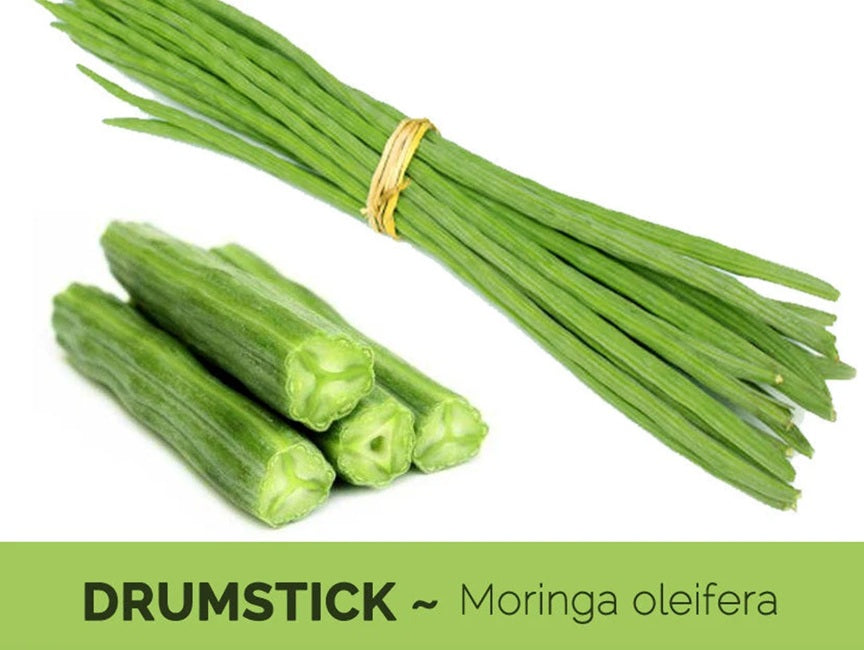 Drum Stick